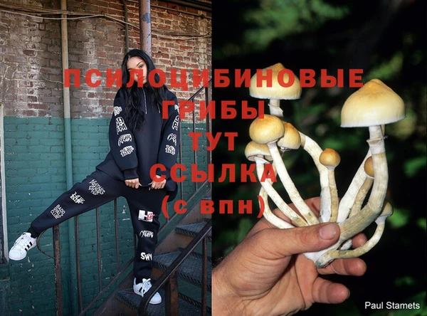 амфетамин Алексин