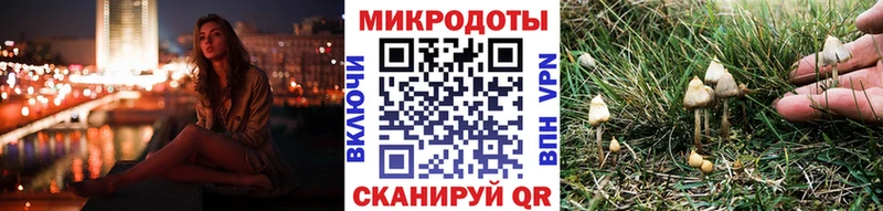 Галлюциногенные грибы GOLDEN TEACHER  Асино 