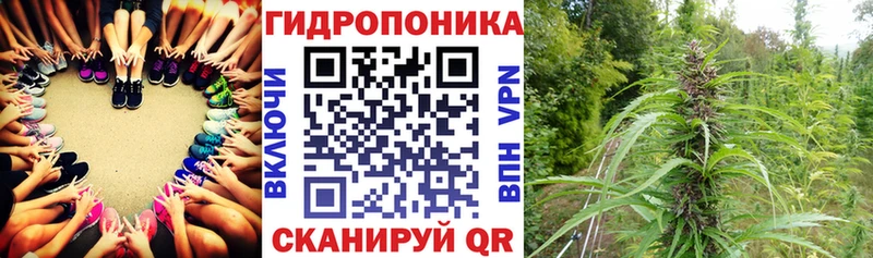 Канабис THC 21% Асино